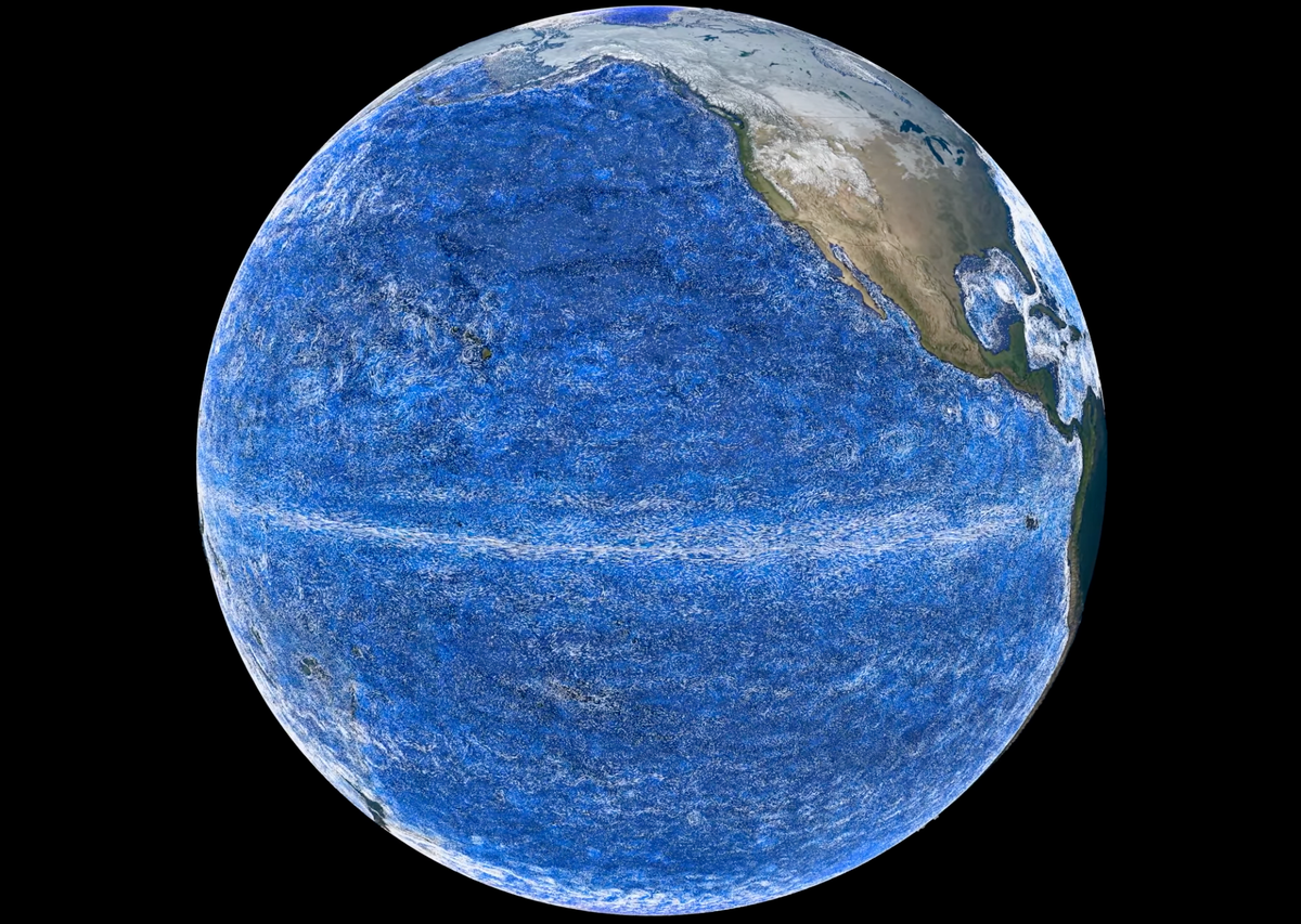 2/8/2026 TOTD: SUNDAY MUSTER: The Sack vs. The Fist