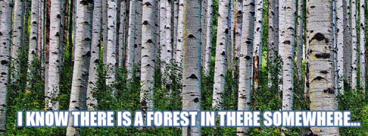 02/24/2026 TOTD: Persistency of the Obvious